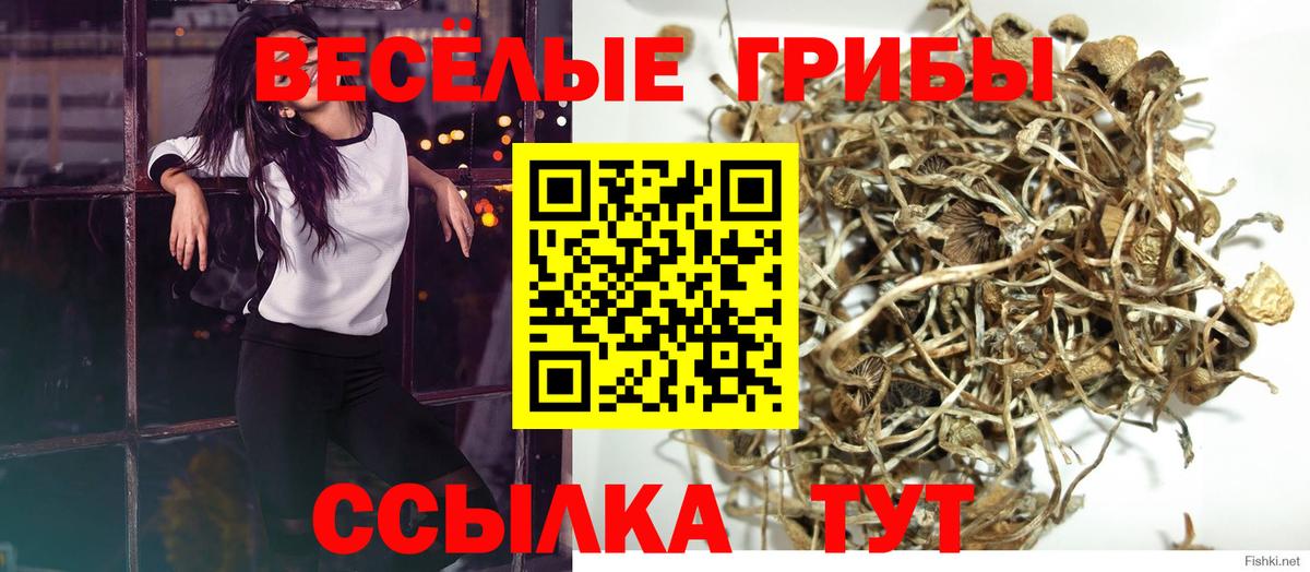 Галлюциногенные грибы GOLDEN TEACHER Владивосток